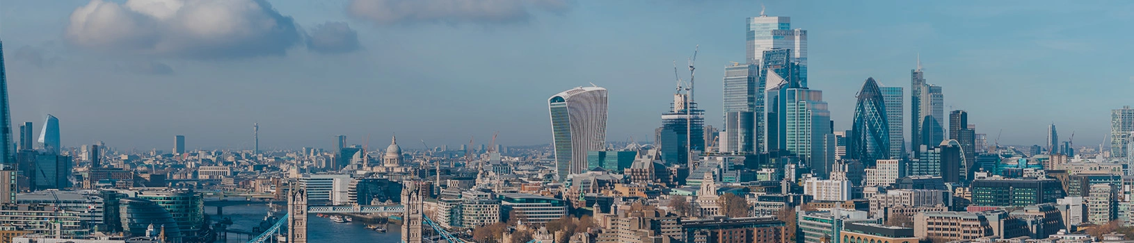 banner_image