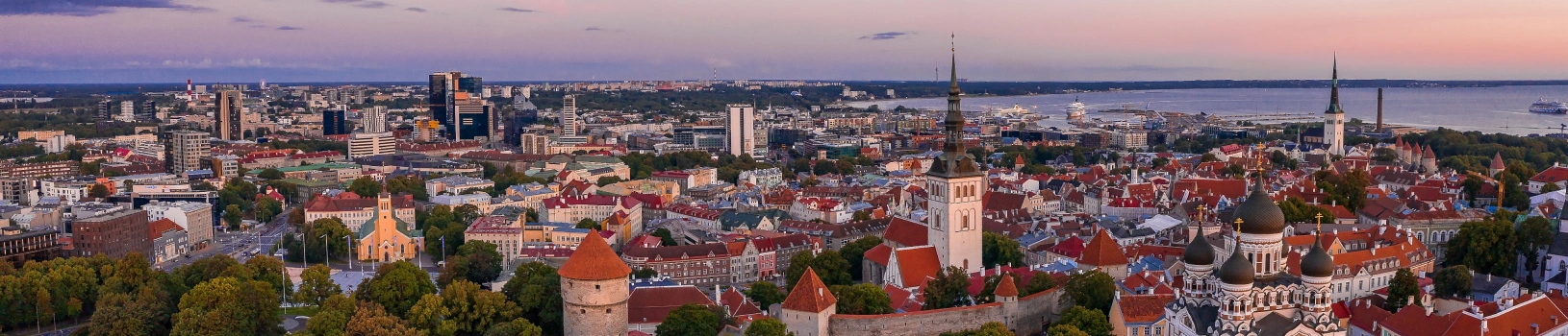 banner_image